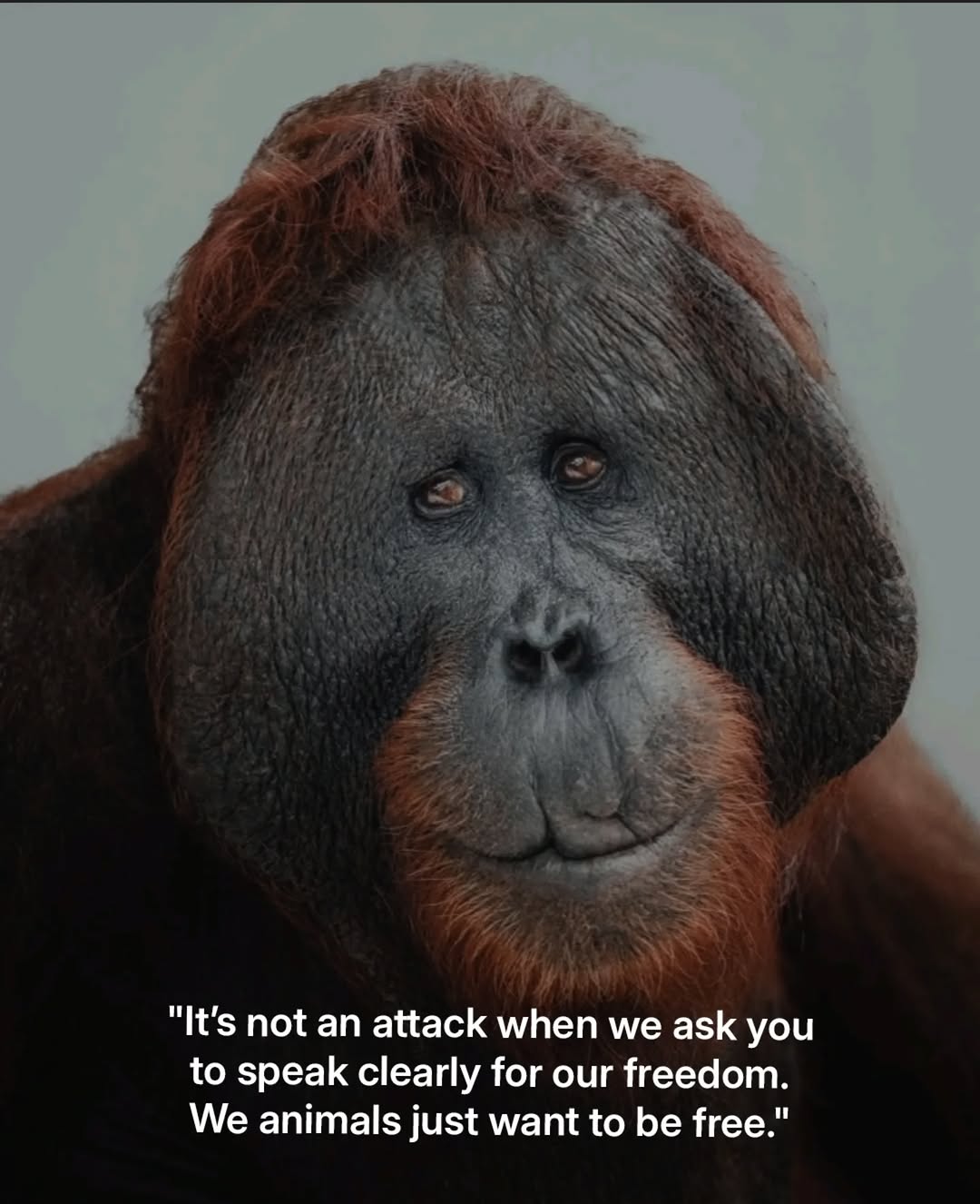 Speak clearly for our freedom